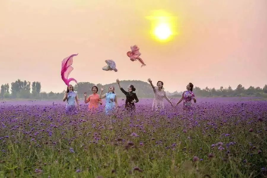 淄博博山区门票免费政策,淄博周边免票