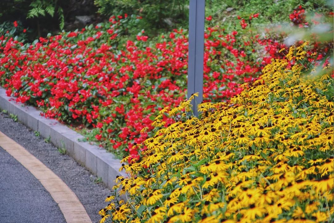 旅拍贵州！邂逅每一帧浪漫风景