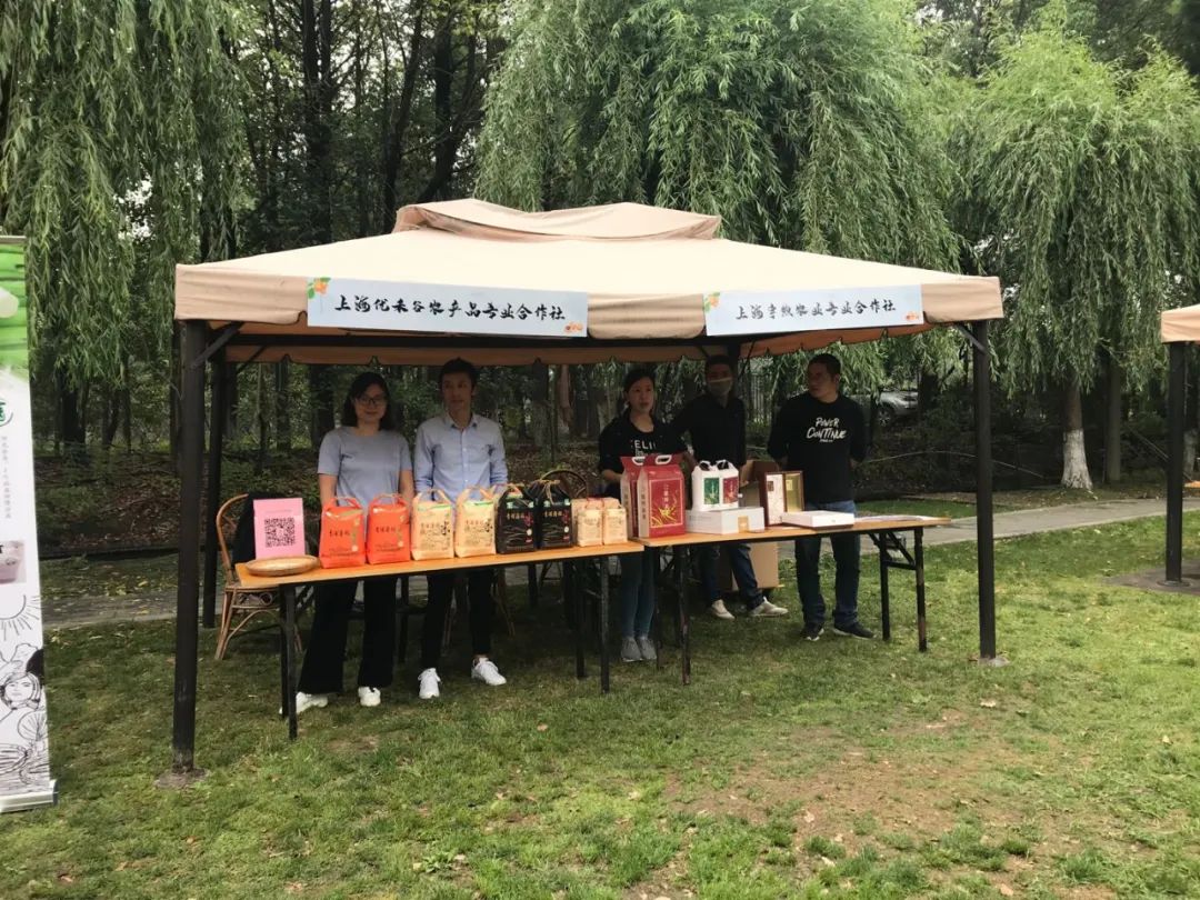 乡村振兴创新创业电商助农视频,乡村振兴互联网创新创业