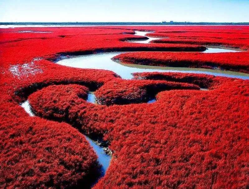 什么是辽宁省电子税务局网页版,什么是辽宁新六地精神