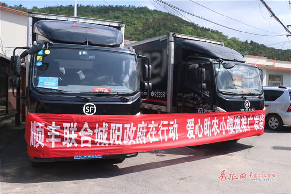 如何完善樱桃的运输配送 (顺丰共拓樱桃销售渠道)