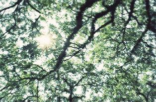 合肥再添一所三甲医院,肥东县中医院冬病夏治