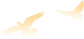 红领巾心向党高举队旗跟党走舞蹈,实验小学红领巾心向党