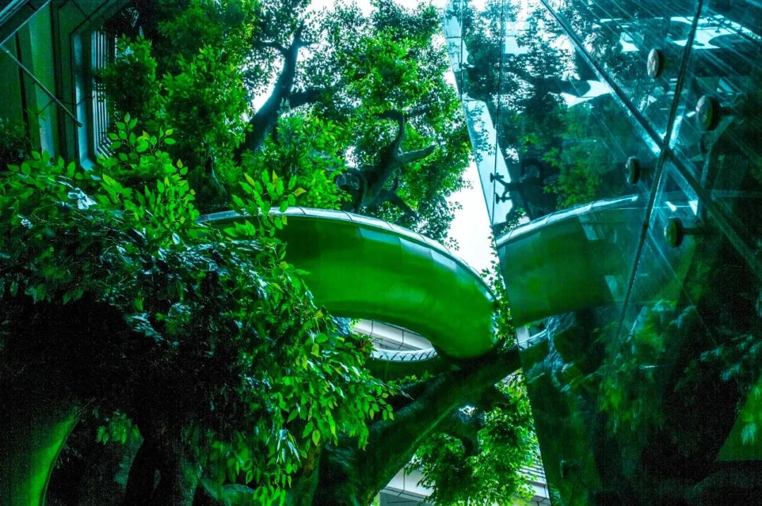 看点||强势发力！美利广场打造省内首个购物中心魔法森林主题乐园