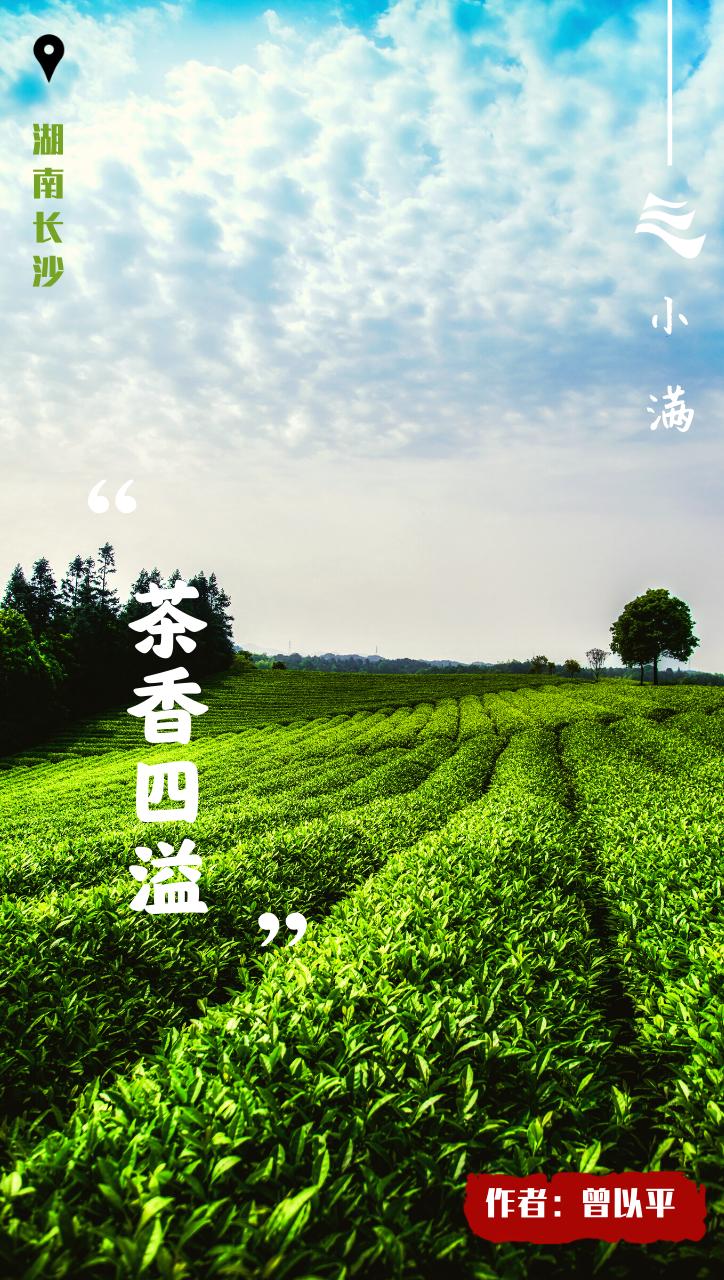 创意小满海报,小满海报设计