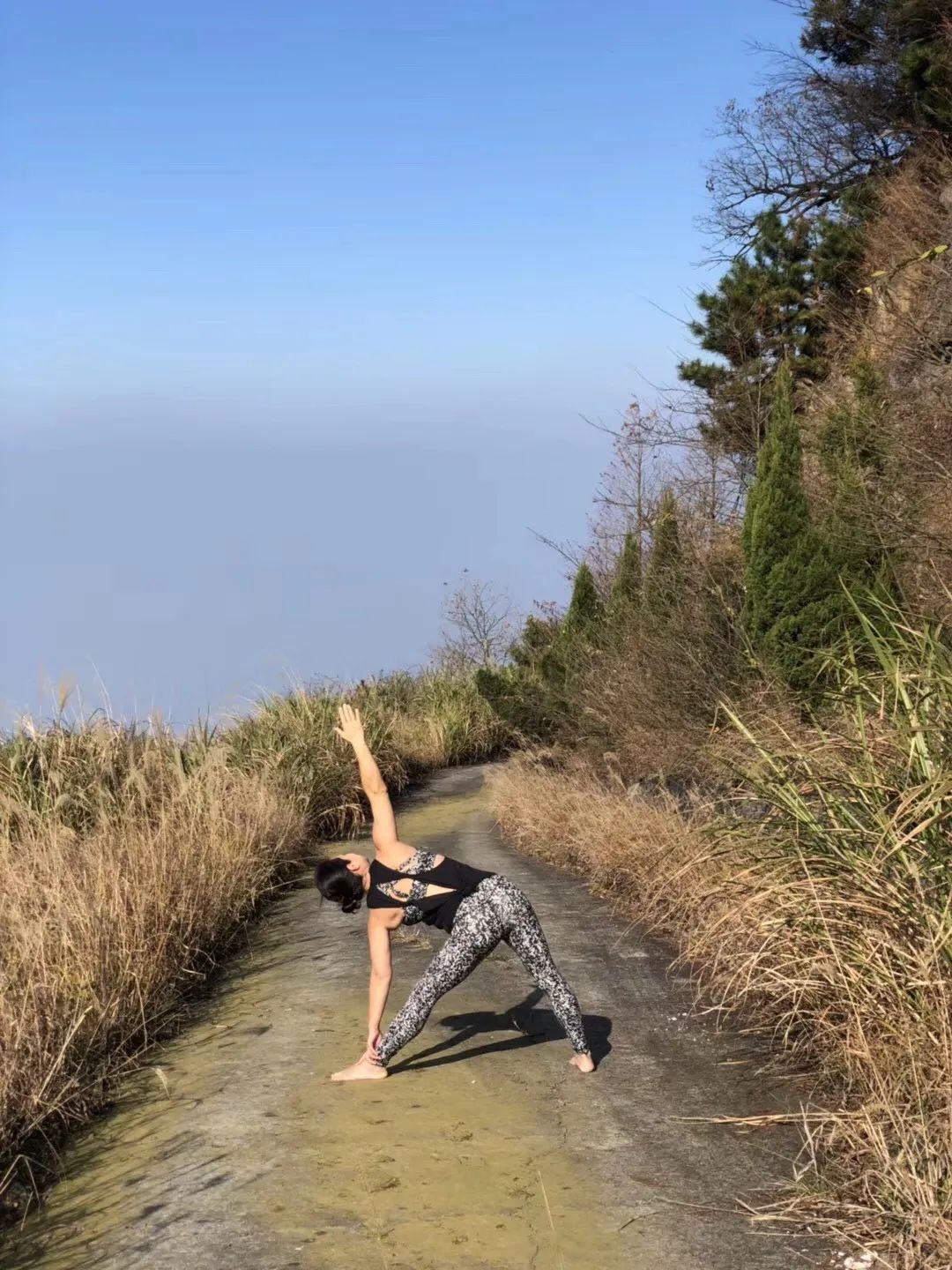 50岁以上学瑜伽,50岁了想去学瑜伽教练怎么学