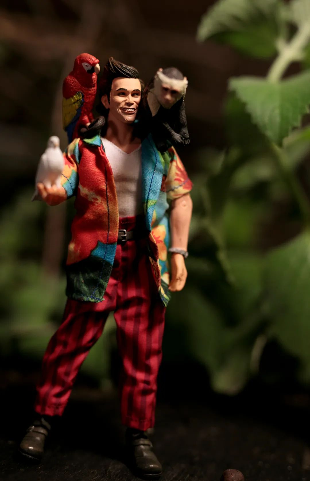 喜剧演员金凯瑞简历,金凯瑞喜剧人