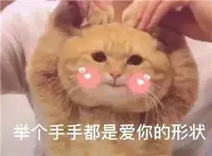 520和1314的转账,520被爱的人转账1314