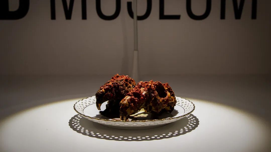 成都知名兔头,成都兔头有多久历史