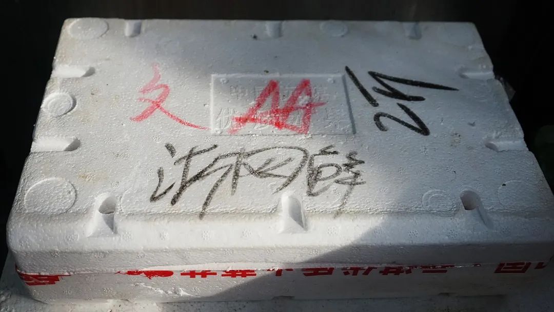 “浙C”注册不下来，愁坏温州老板娘！老乡老乡，真的是背后一枪？