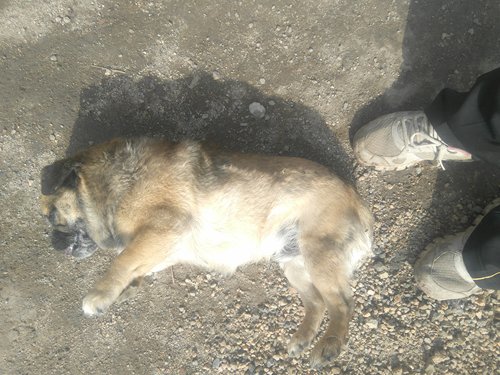 邻里小事引发吵架邻居事后死亡,邻里矛盾担心被投毒