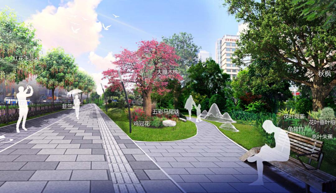 观澜区道路改造,观澜大道扩建最新消息