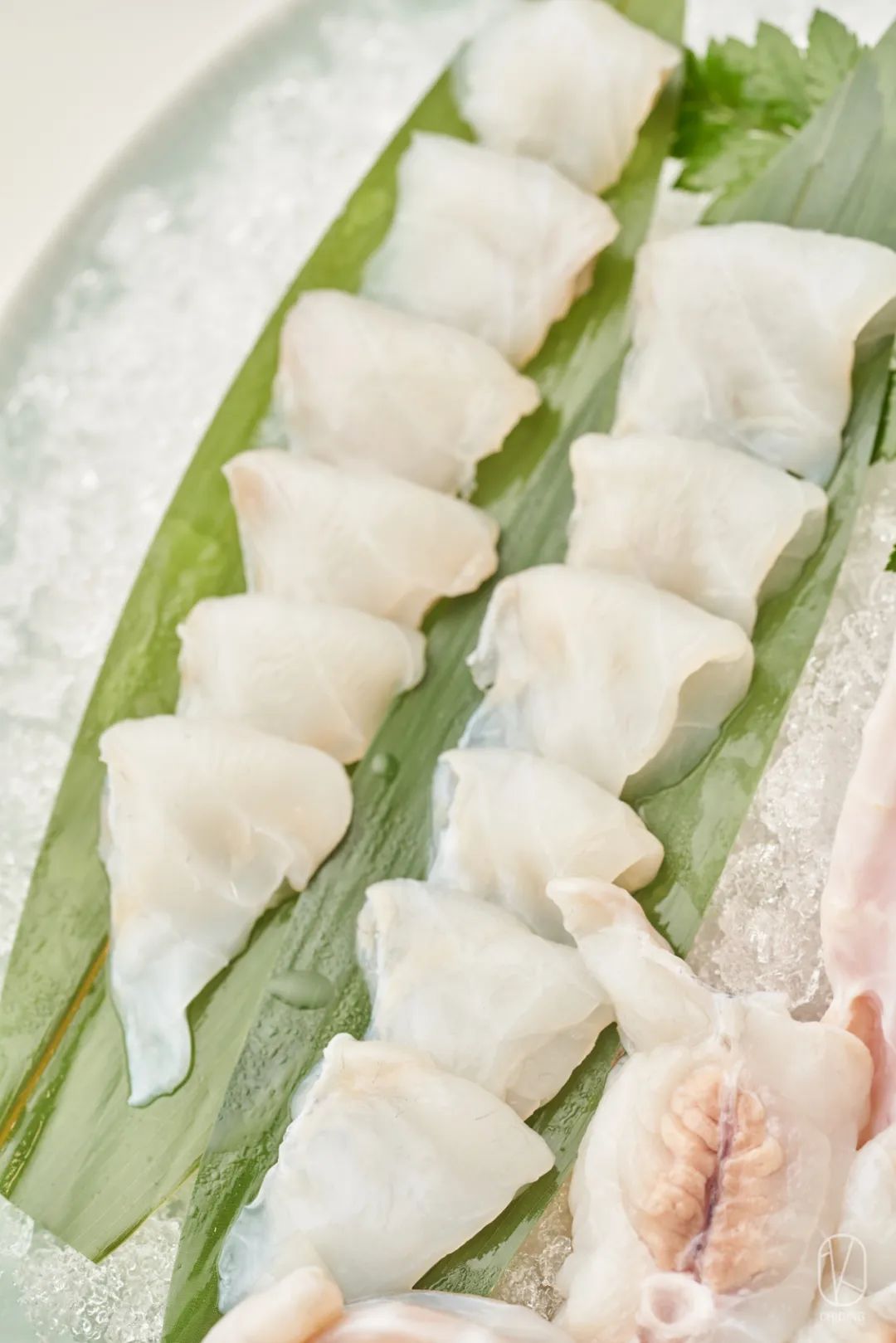 日本河豚料理杭州唯一一家,吃河豚最好的餐厅