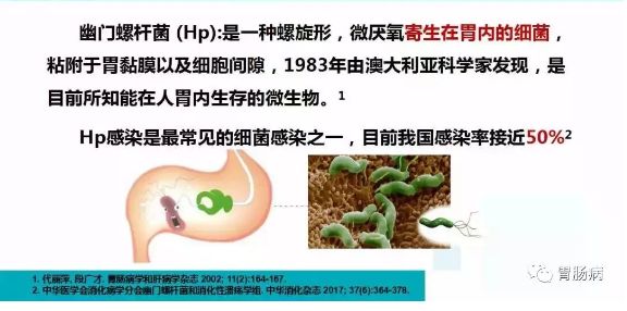 幽门螺杆菌的科普合集,hp幽门螺杆菌症状