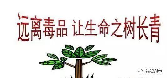 你必须知道的禁毒知识分享,你需要知道的法律常识