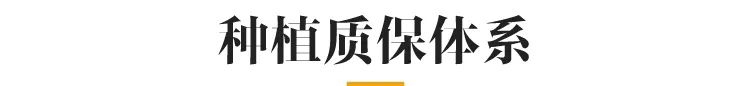 上海摩尔口腔医院实际种牙价格,种牙优诺口腔