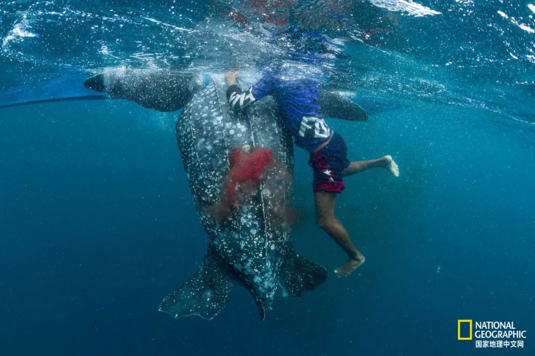 新冠肆虐,新冠在东南亚持续肆虐