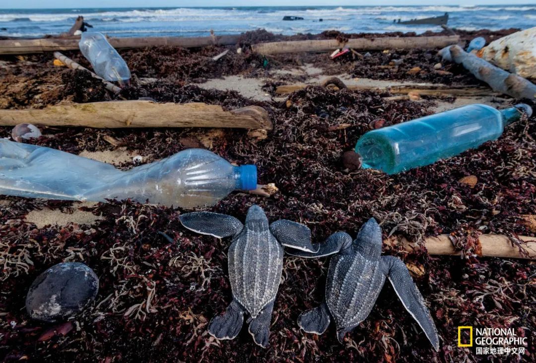 新冠肆虐,新冠在东南亚持续肆虐