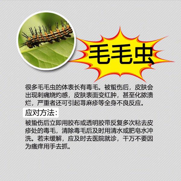 夏天防虫知识100条,夏季防虫叮咬小知识