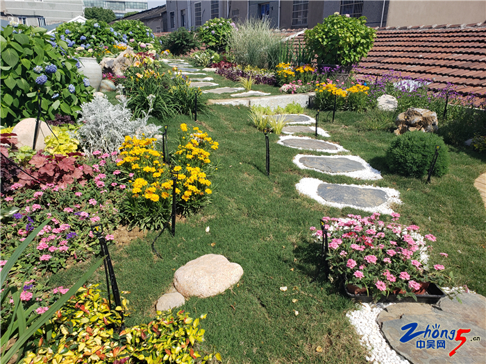 又一处网红打卡点：废墟里打造直播电商产业园