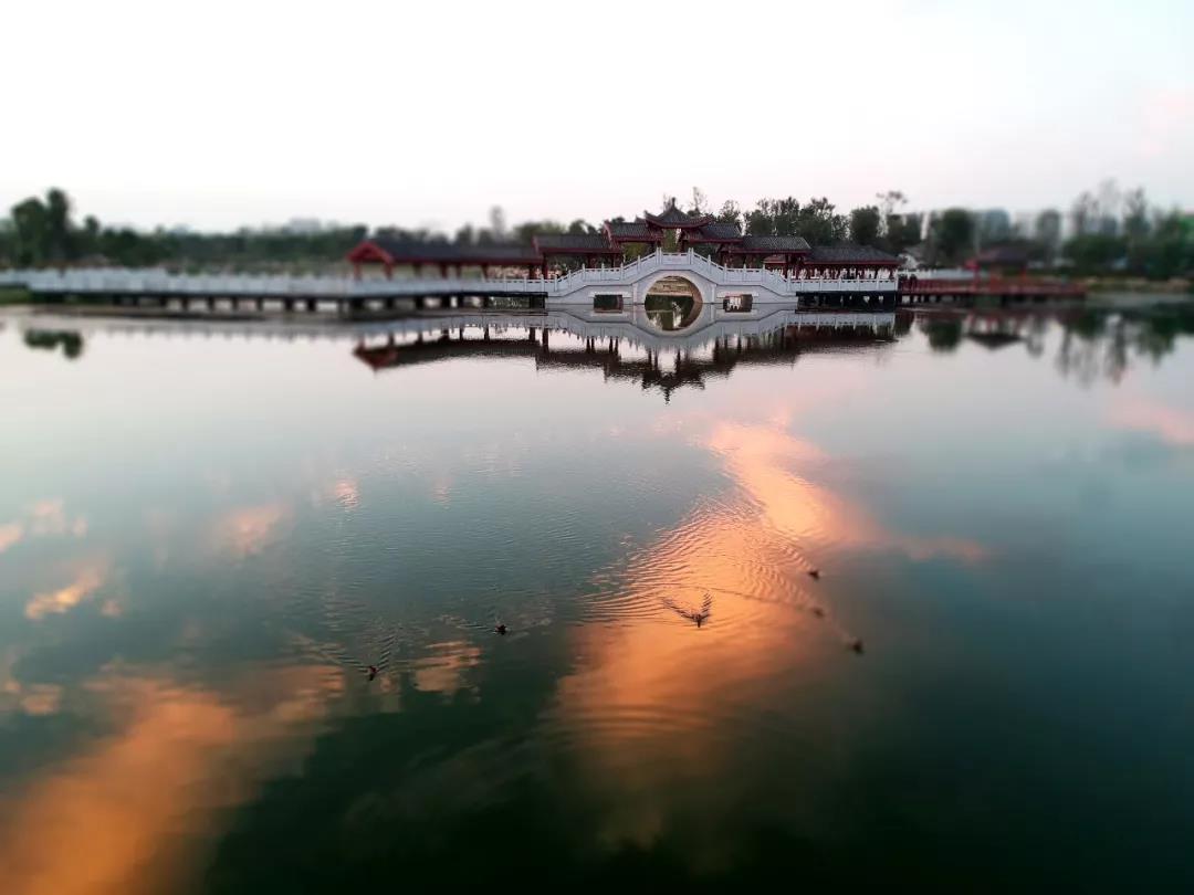 如何评价商丘市在河南省的地位？