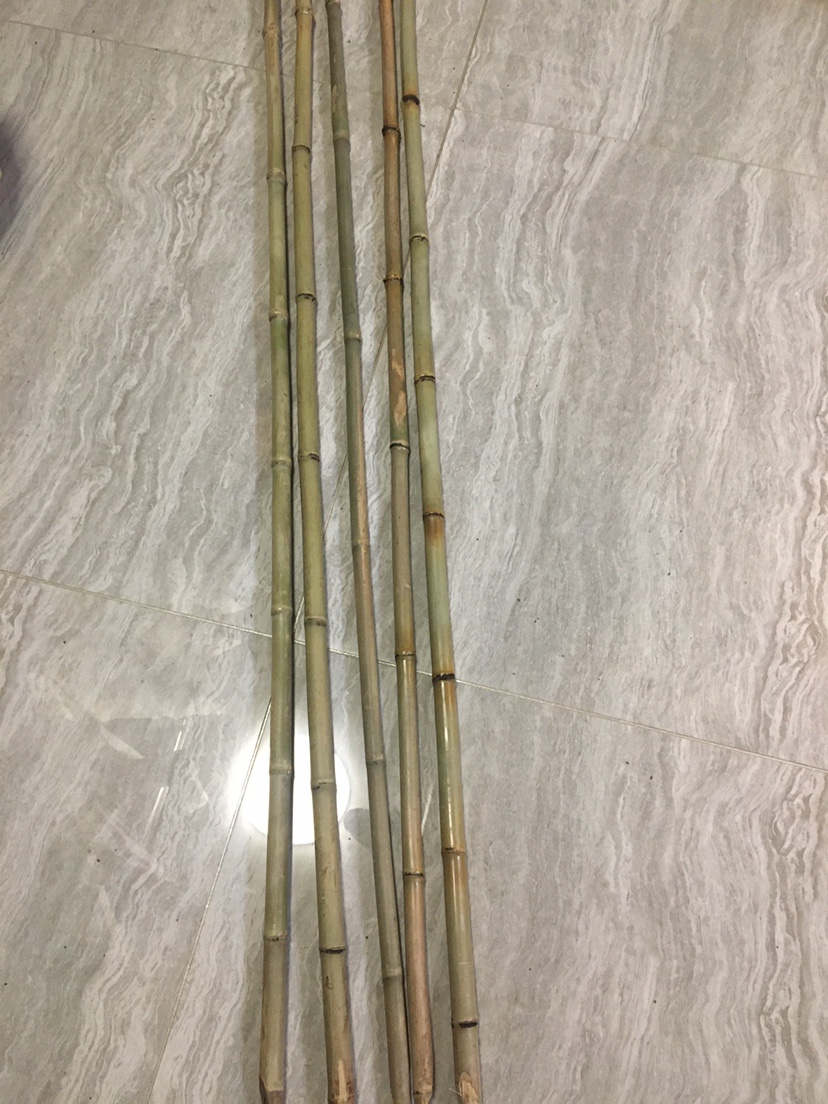 茶杆竹DIY抄网杆，钓友看看效果怎么样？