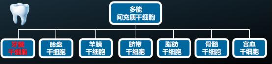 亚洲杂货（8413.HK）“联姻”卡替生物，反向收购之下将如何玩转精准治疗？