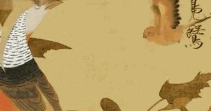 白描菊花国画如何上色,国画白描菊花图片大全