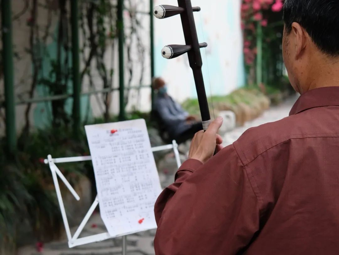 少陵路是属于哪个街道,三年前少陵路