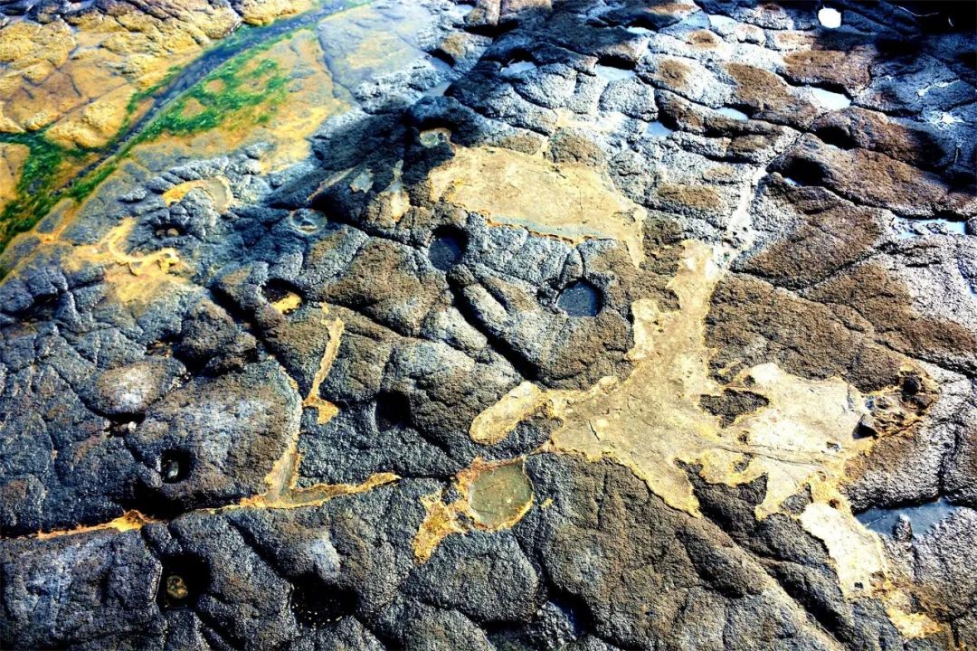 一半是火焰一半是海水啥意思,一半是火焰一半是海水全文