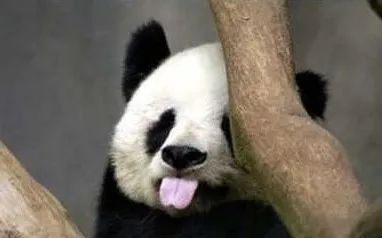 用16分讲解中国,用数据说中国强大