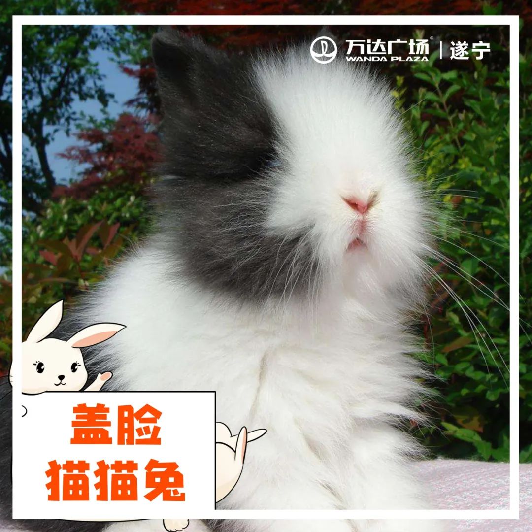 小宝贝解封后秒变“神兽”，这里有魔力啊