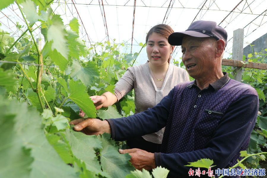 蒙阴大学生回乡创业,沂蒙返乡青年