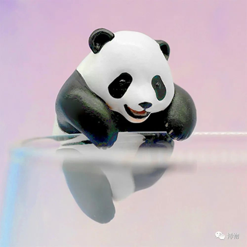 能拍彩色照片的大熊猫,大熊猫为啥不能拥有一张彩色照片