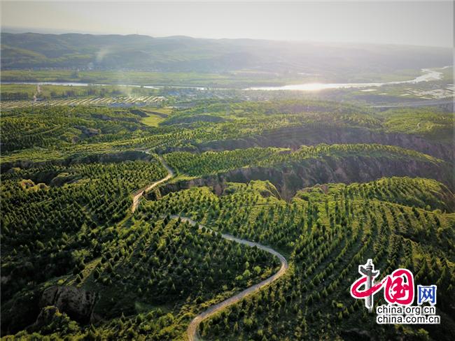 灏忓北鏉戠殑澶у彉闈╄档瀹跺硜,灏忓北鏉戝ぇ宸ㄥ彉