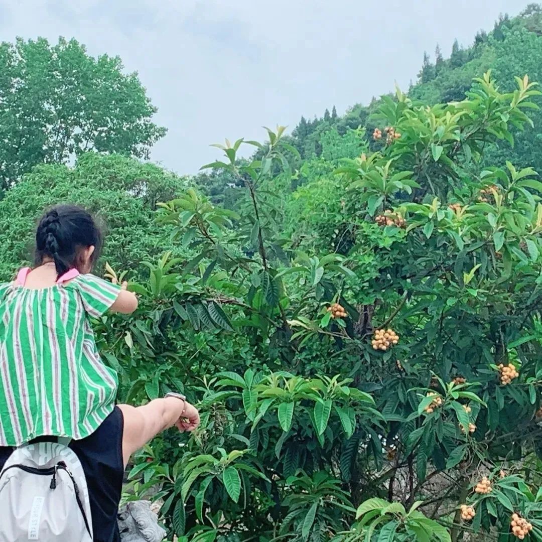 大朋友小朋友,六一去哪嗨?宜昌14家景区特惠福利来袭!