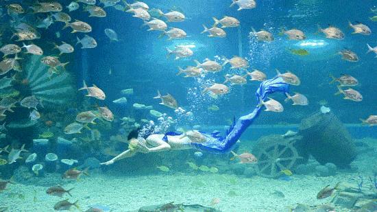 大朋友小朋友，六一去哪嗨？宜昌14家景区特惠福利来袭！