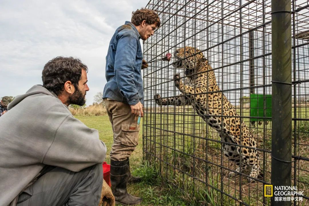 这对夫妇花巨资买下国家公园，居然白送？