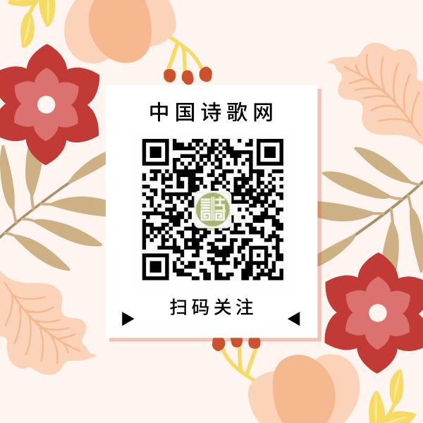 订阅号推荐好看的风景,优秀的订阅号大全