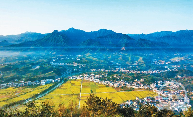 让客来时所见一山碧绿万物竞发