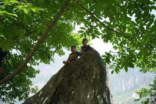 走下悬崖村的孩子：新家是我去过最远的地方