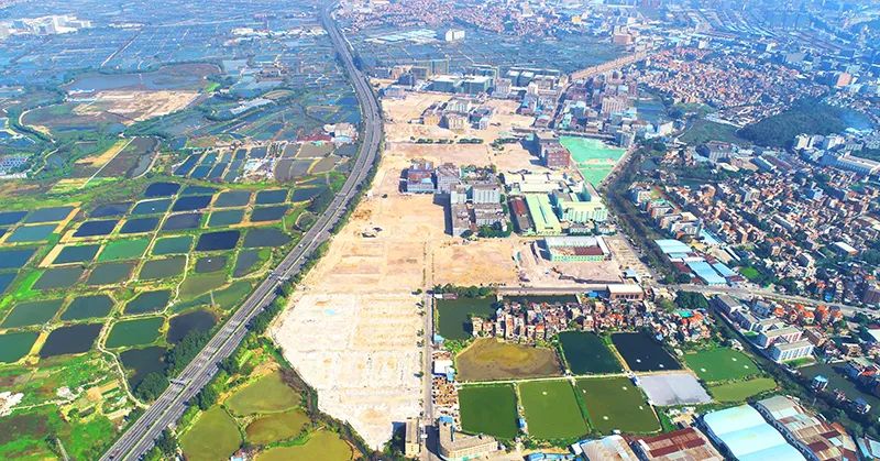 一个街道的顺德,我眼中顺德