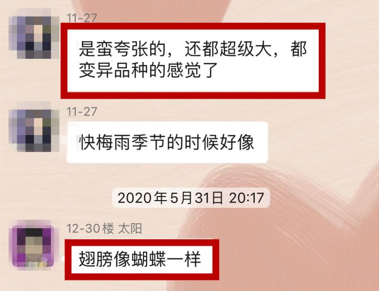 白蚁上门防治方法,上门白蚁防治办法