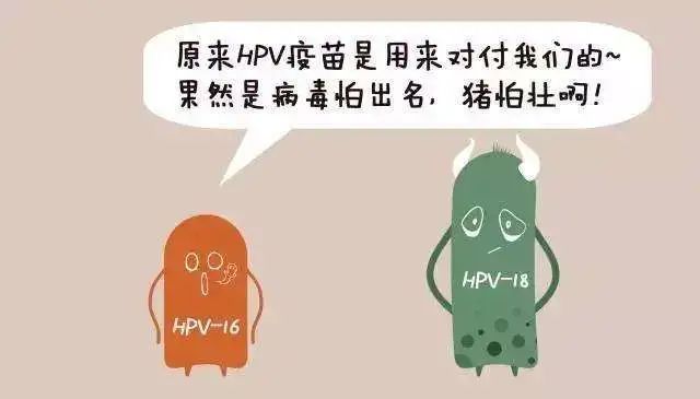 关于HPV的5个常见问题与11个误区,每位女性都要知道!