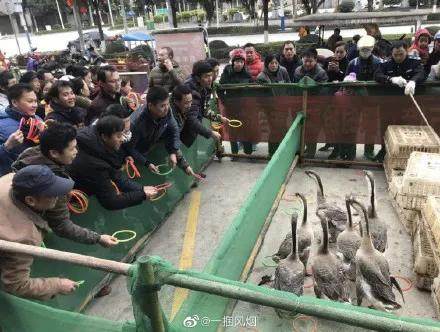 西安烤面筋摆摊,西安养生粥摆摊