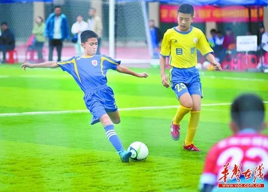 鼓励社会资本修建足球场,湖南拟建足球场