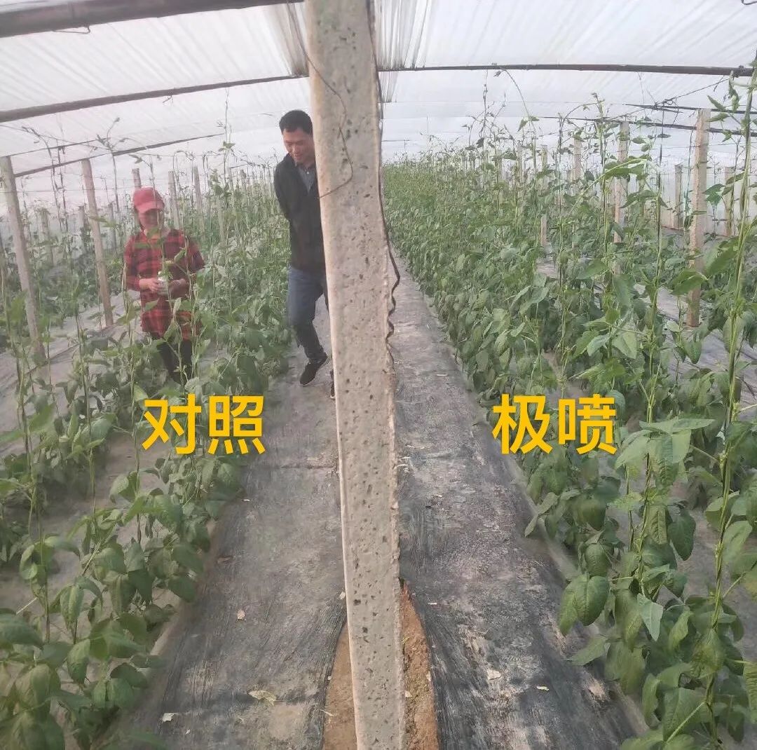 氮钾复合肥缓释肥,叶面喷雾缓释复合肥