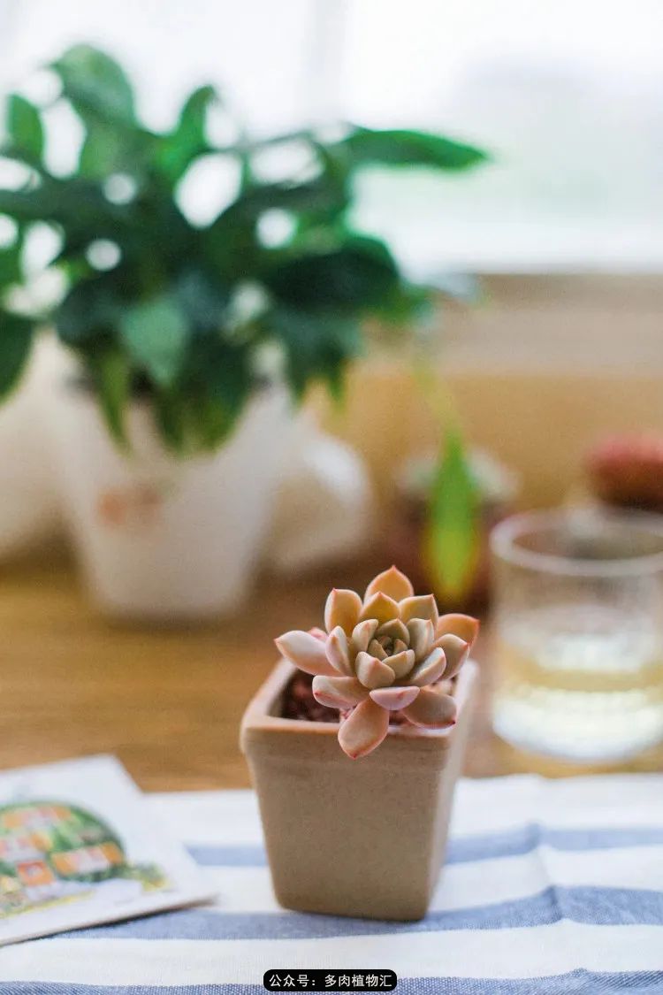 专注于自己喜欢的事情,专注于自己喜爱的事情