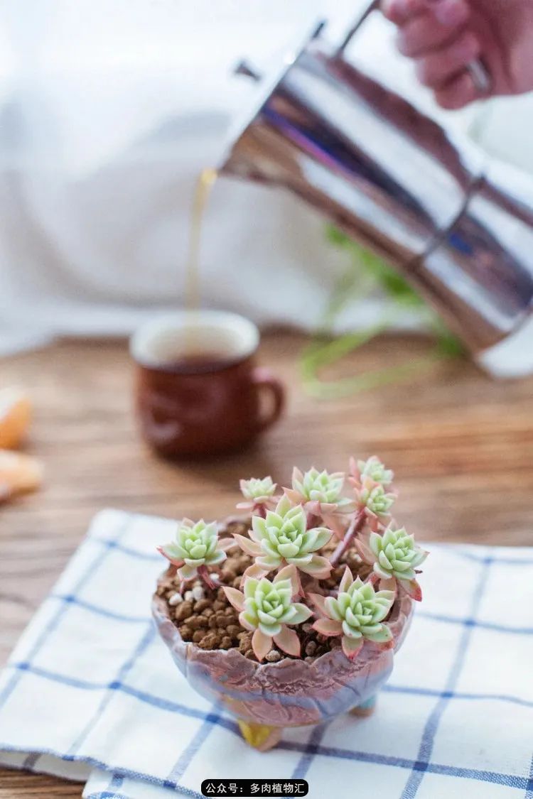 专注于自己喜欢的事情,专注于自己喜爱的事情