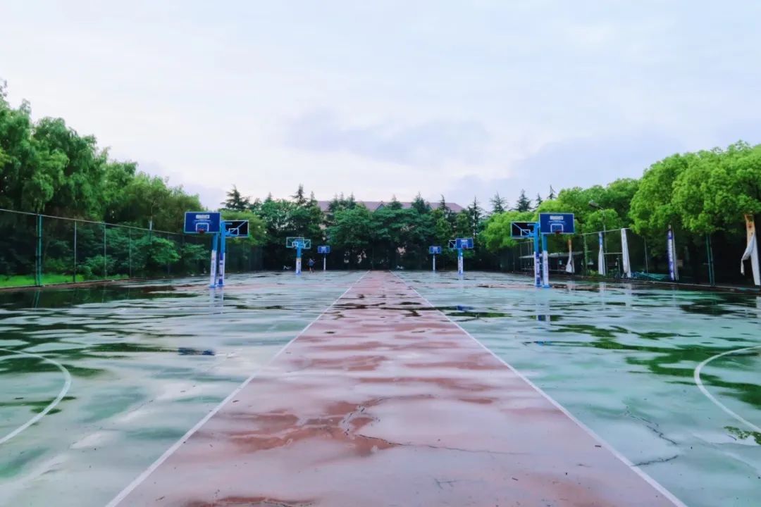 松江免费羽毛球场地,打篮球找不到场地